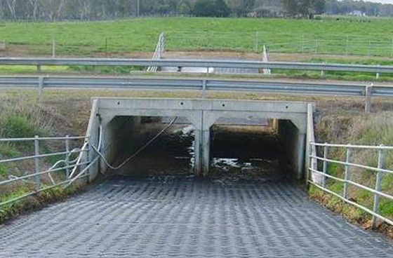 cattle-underpass