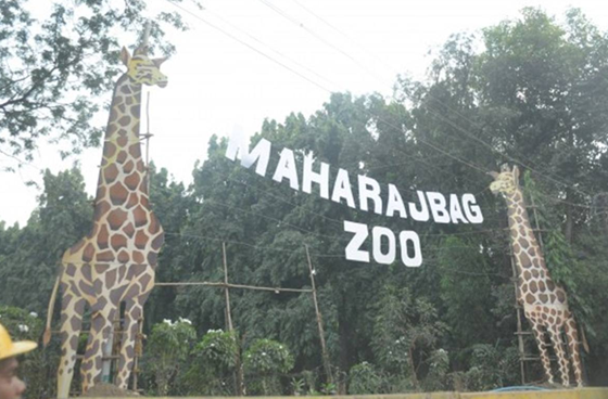 Maharajbag Zoo